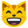 :grinning_cat_face_with_smiling_eyes: 😸