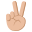 :victory_hand_medium-light_skin_tone: ✌🏼