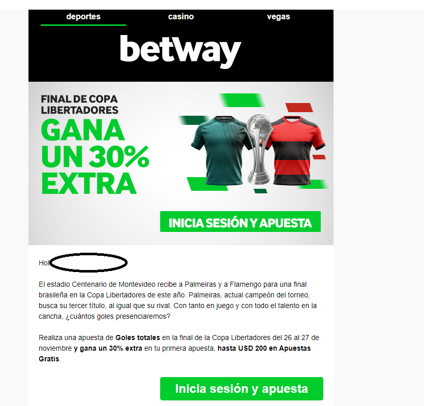 Libertadores BETWAY.png